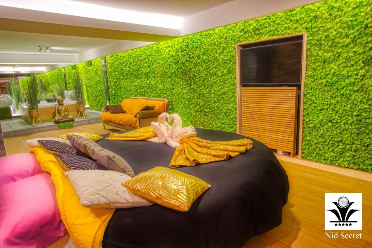 Panoramique 180 Lac Et Montagne Et Nid Secret Spa Romantique Annecy Ngoại thất bức ảnh