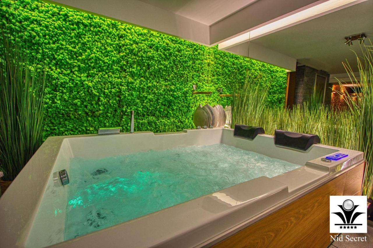 Panoramique 180 Lac Et Montagne Et Nid Secret Spa Romantique Annecy Ngoại thất bức ảnh