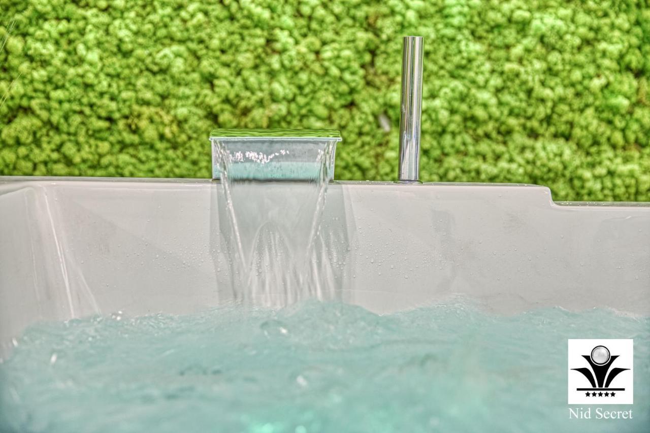 Panoramique 180 Lac Et Montagne Et Nid Secret Spa Romantique Annecy Ngoại thất bức ảnh